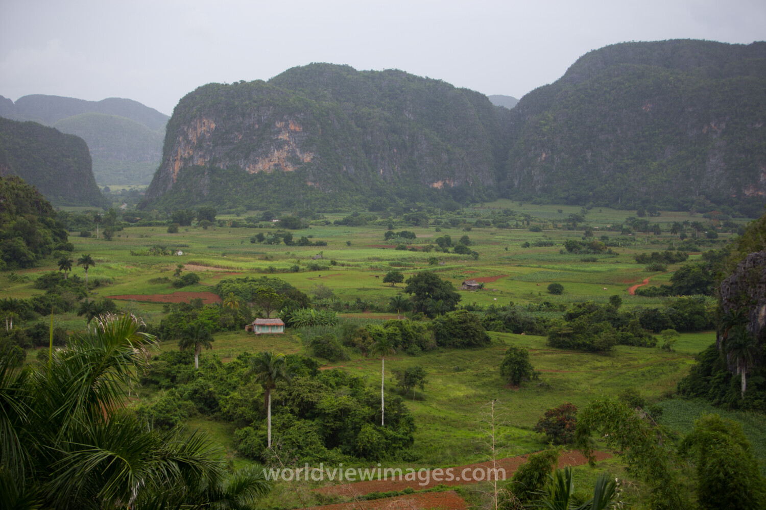 Scenic Beauty of Cuba