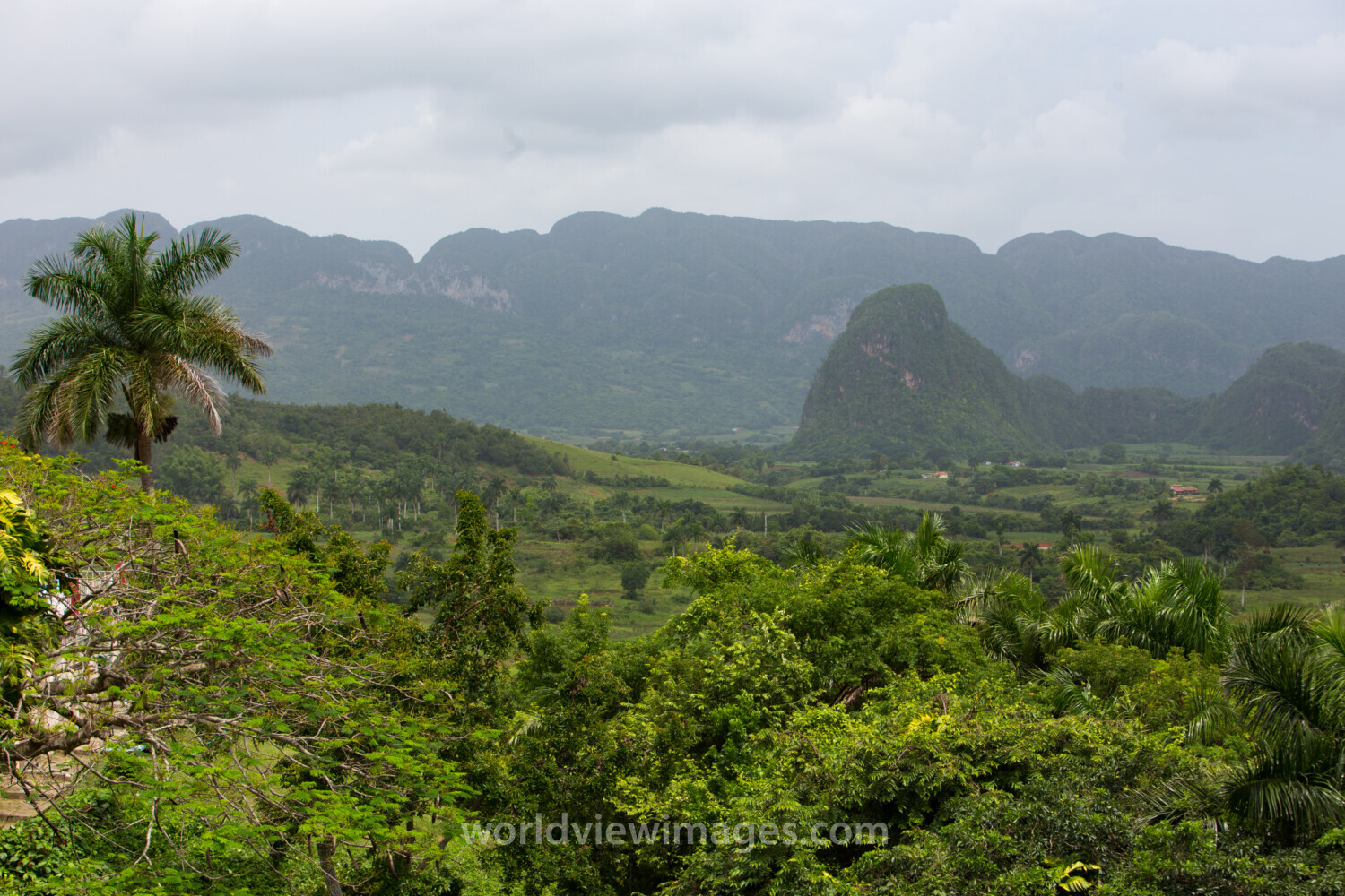 Scenic Beauty of Cuba