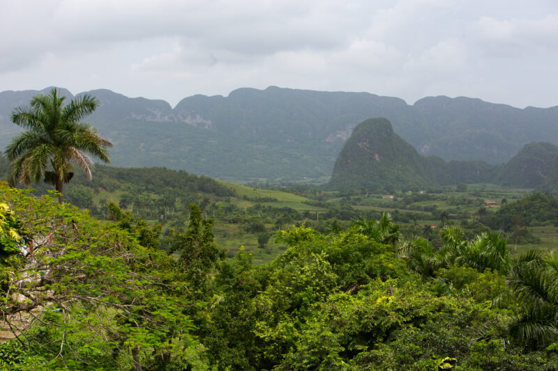Scenic Beauty of Cuba — Beautiful landscape in Cuba — Cuba, scenic, field, fields