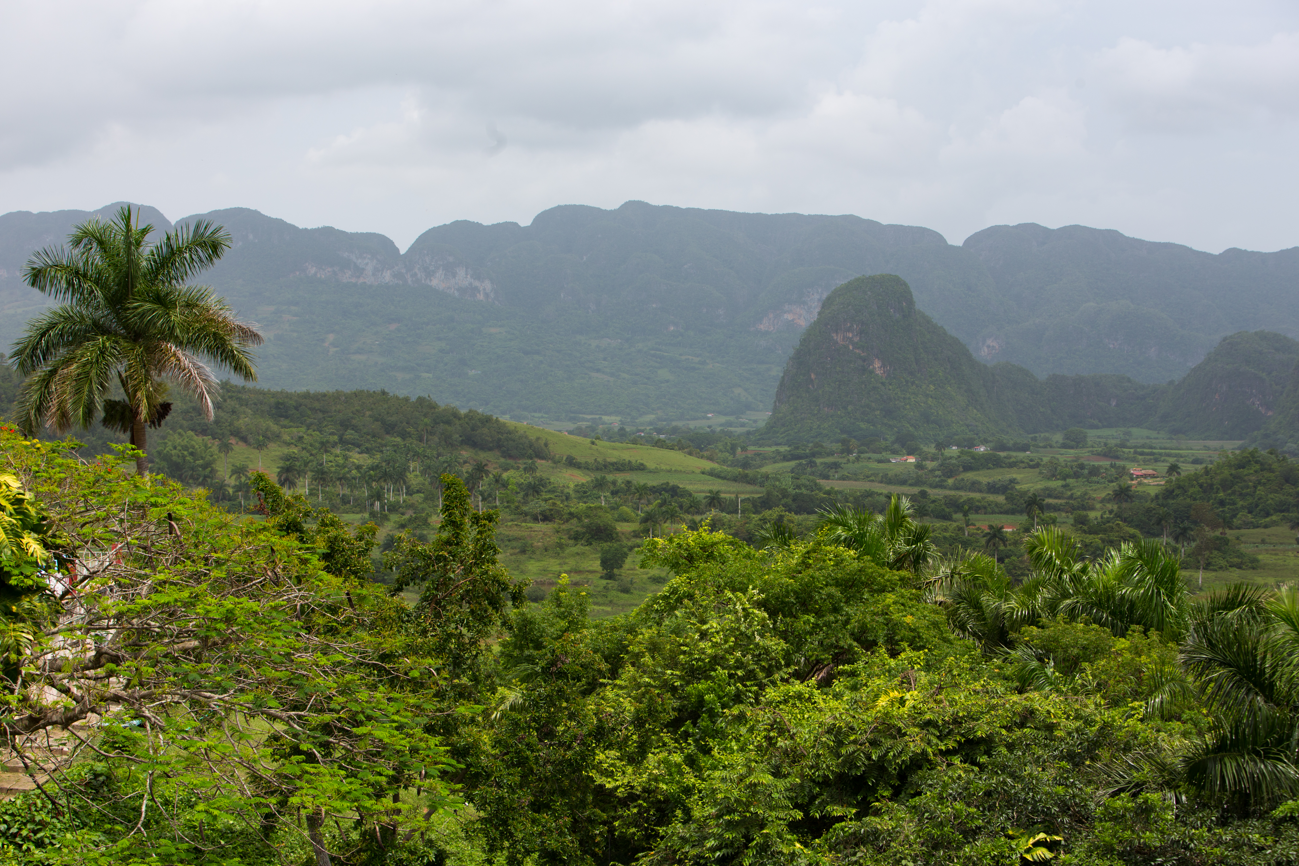 Scenic Beauty of Cuba