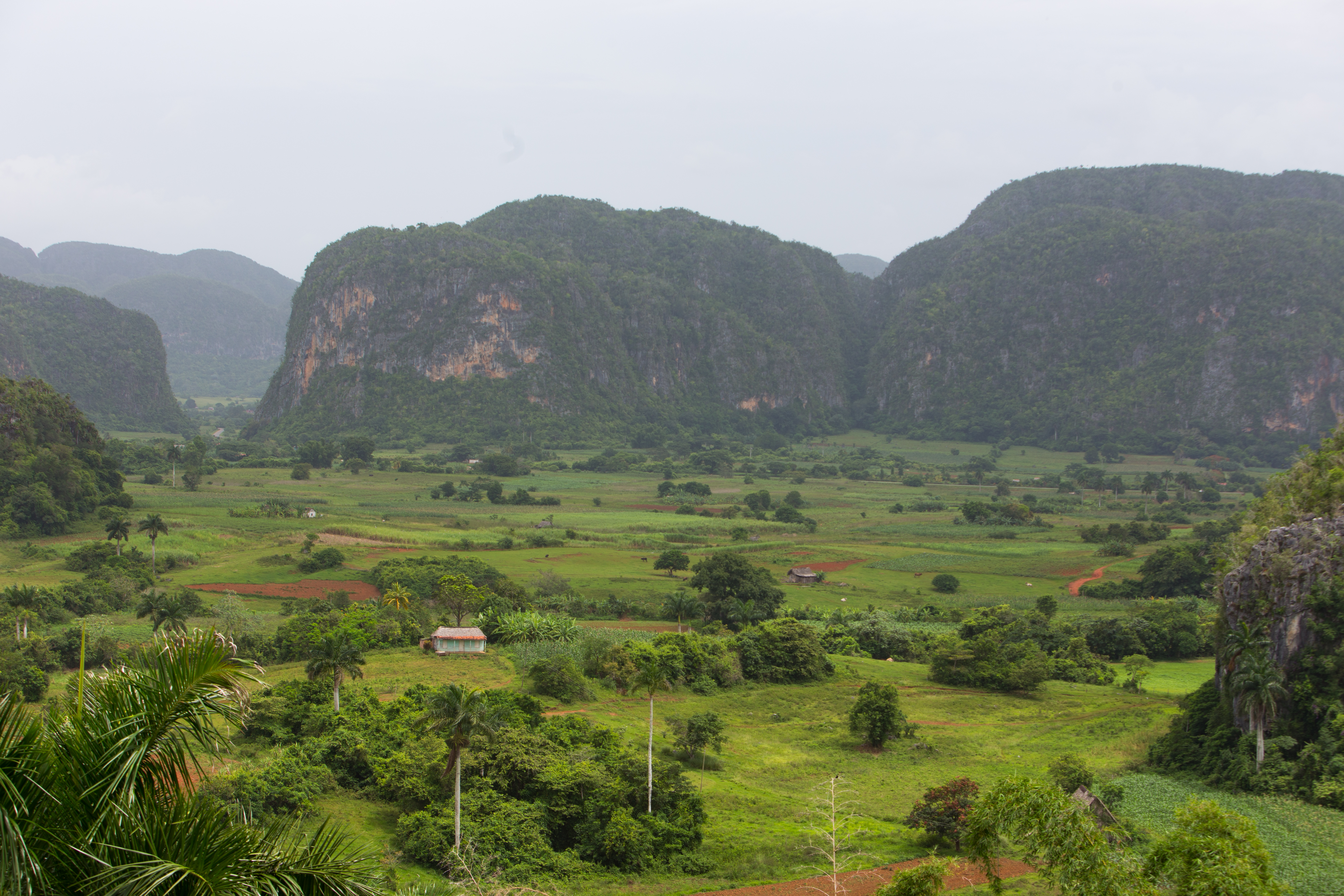 Scenic Beauty of Cuba