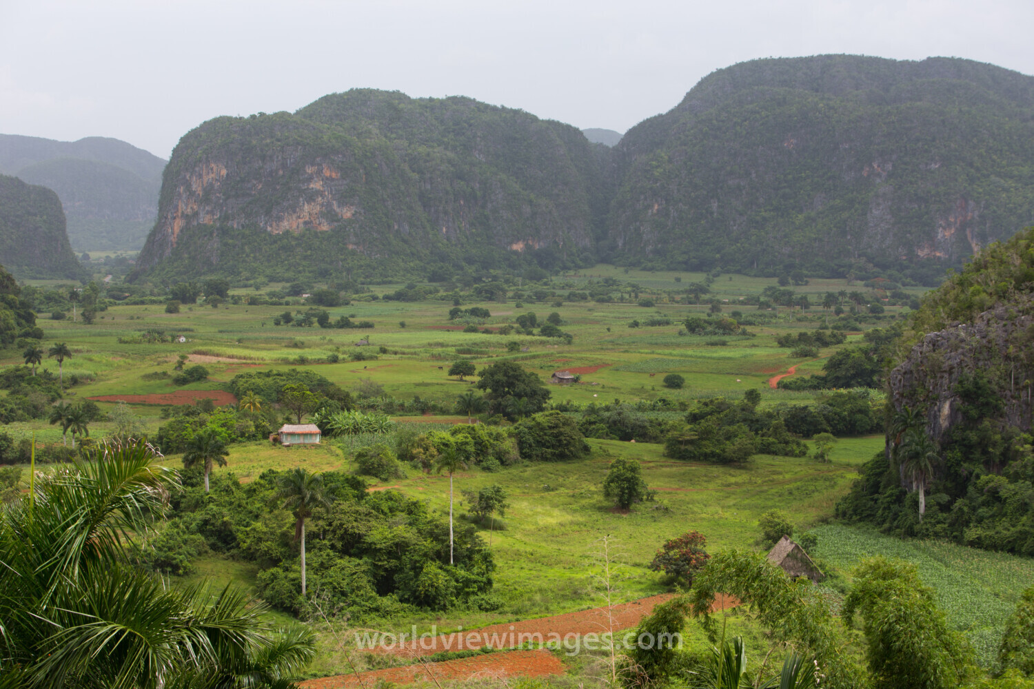 Scenic Beauty of Cuba