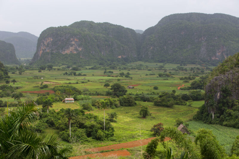 Scenic Beauty of Cuba — Beautiful landscape in Cuba — Cuba, scenic, field, fields
