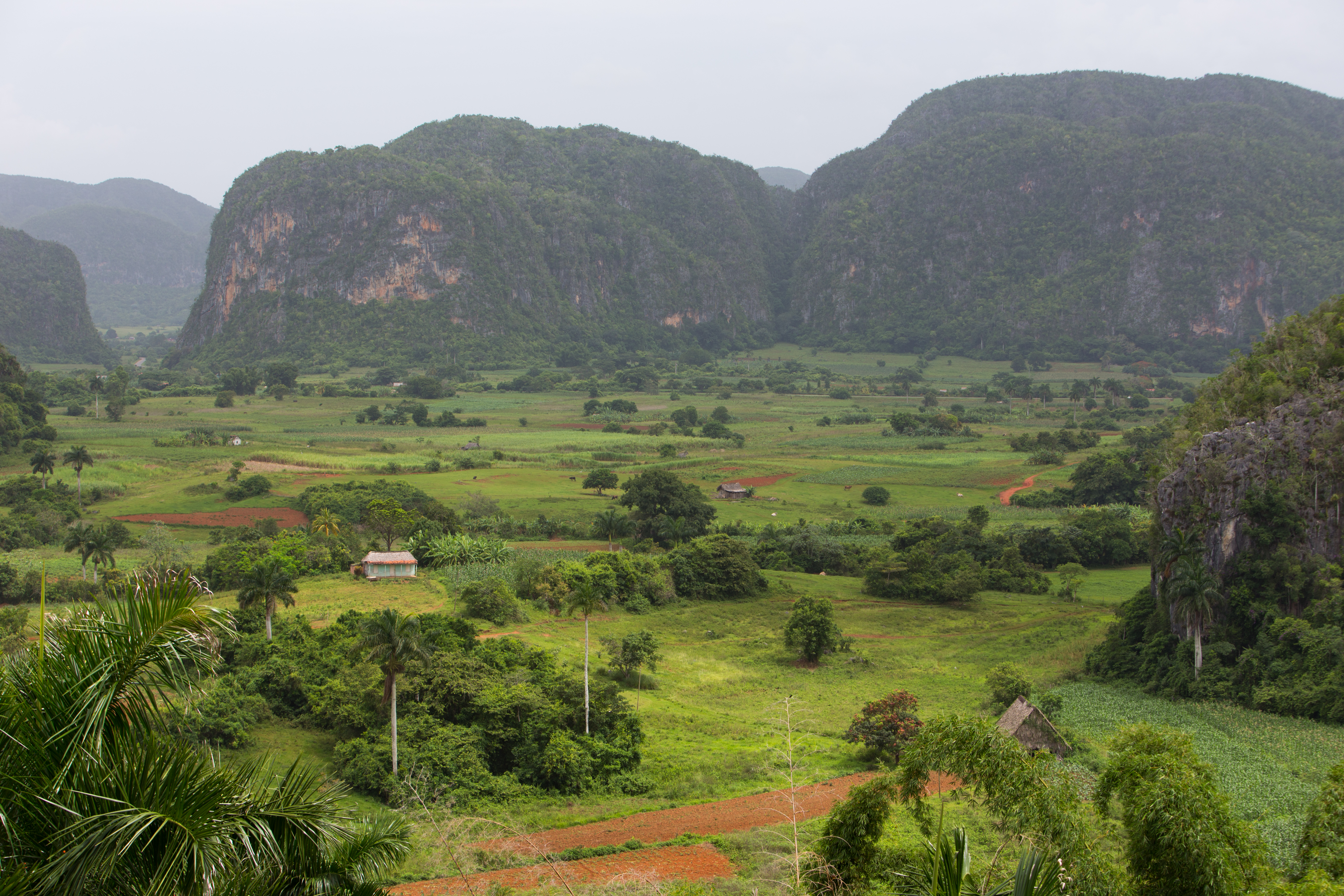 Scenic Beauty of Cuba