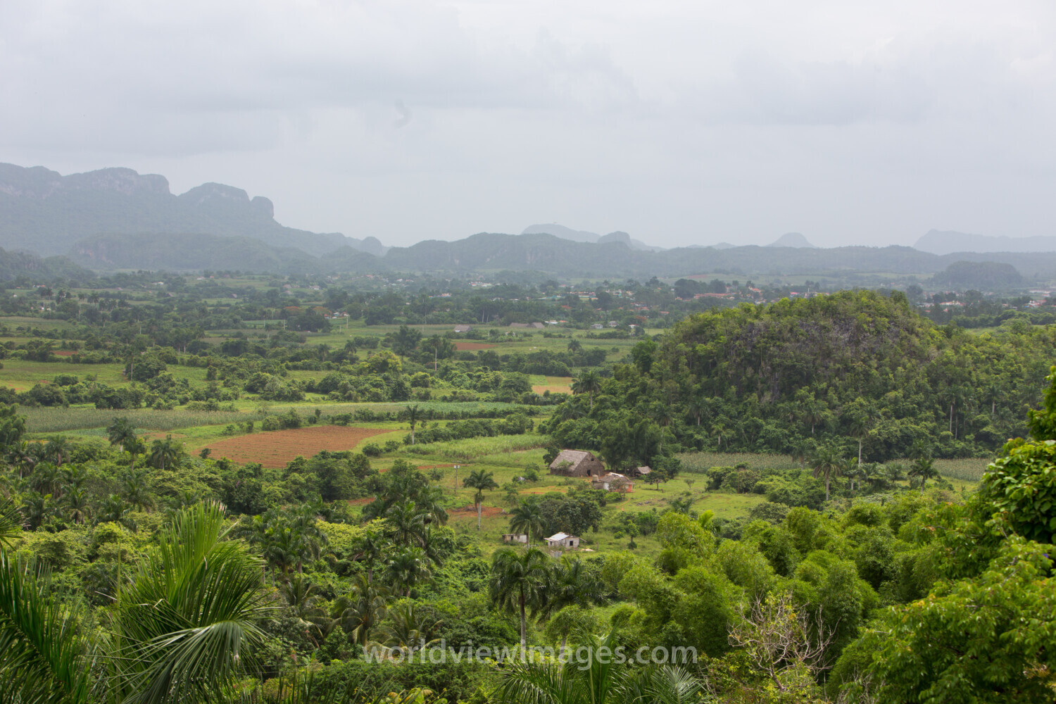 Scenic Beauty of Cuba