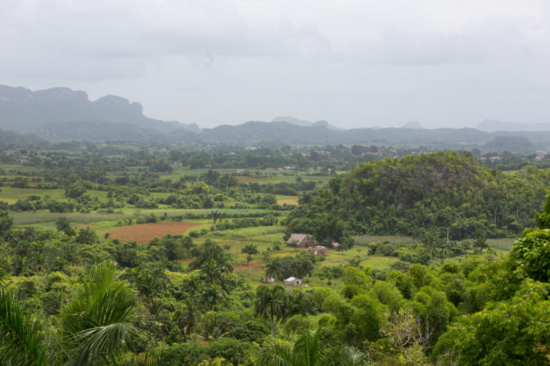 Scenic Beauty of Cuba — Beautiful landscape in Cuba — Cuba, scenic, field, fields