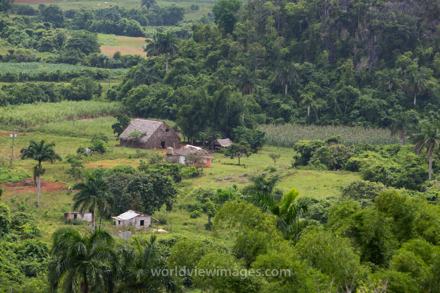 Scenic Beauty of Cuba