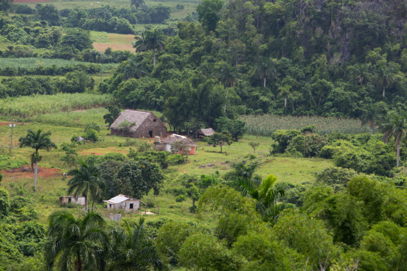 Scenic Beauty of Cuba — Beautiful landscape in Cuba — Cuba, scenic, field, fields