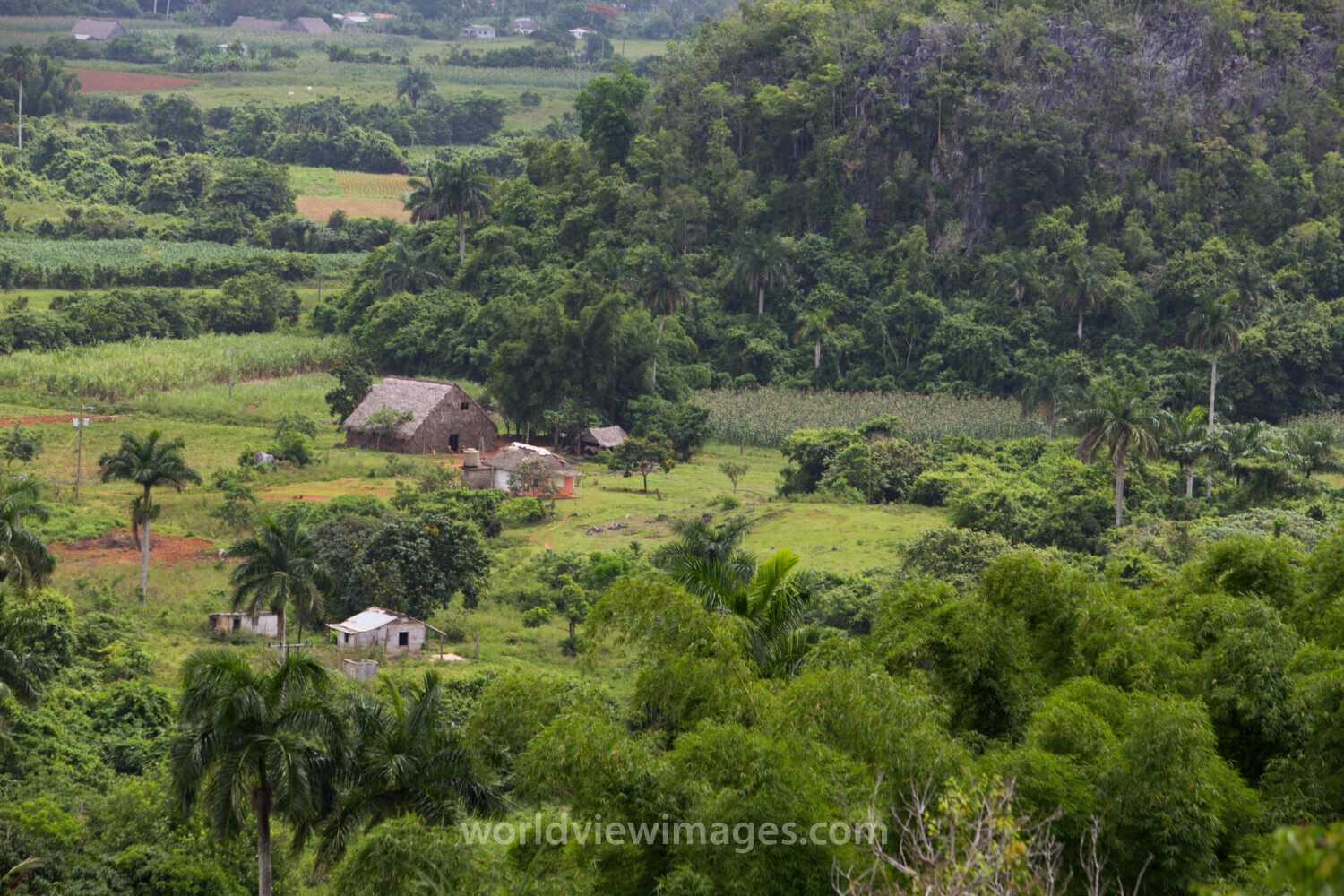 Scenic Beauty of Cuba