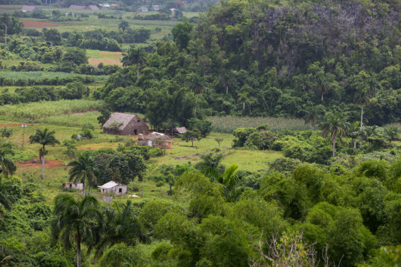Scenic Beauty of Cuba — Beautiful landscape in Cuba — Cuba, scenic, field, fields