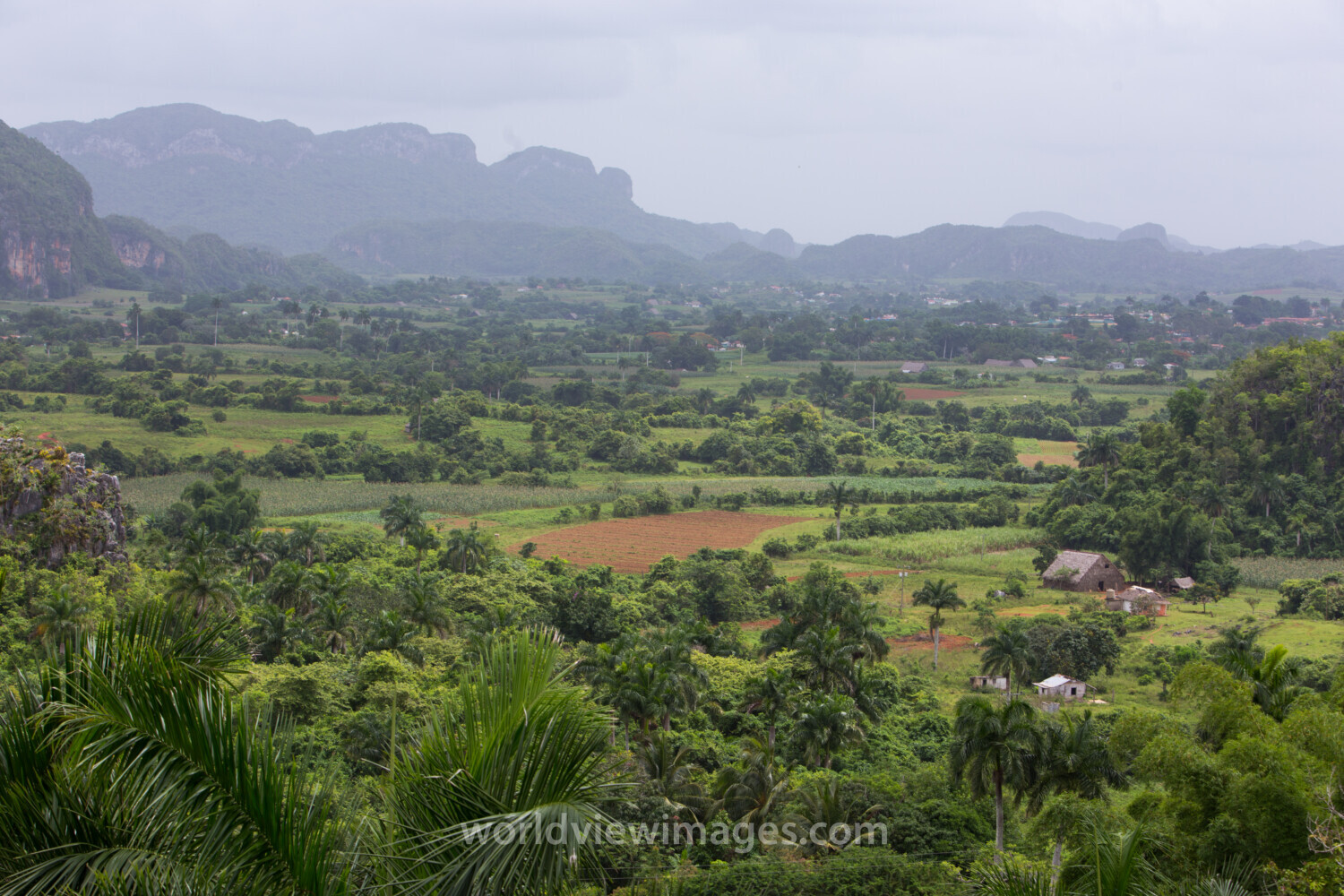 Scenic Beauty of Cuba