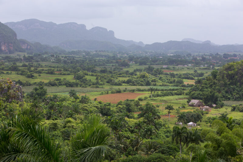Scenic Beauty of Cuba — Beautiful landscape in Cuba — Cuba, scenic, field, fields