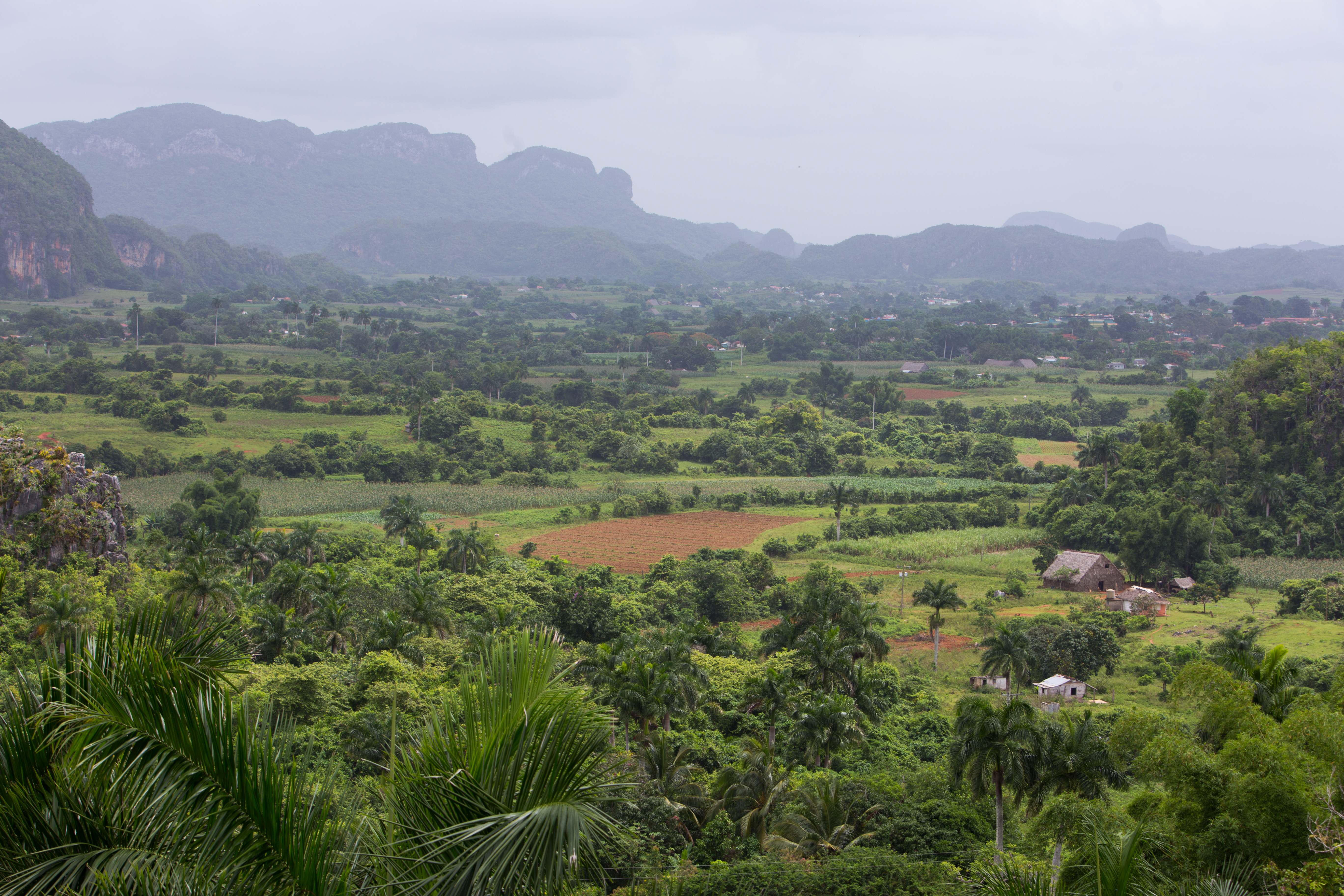 Scenic Beauty of Cuba