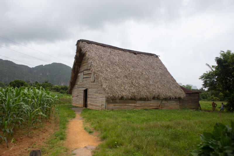 Old Barn in Cuba — Cuba, barn, farm, rural, tobacco