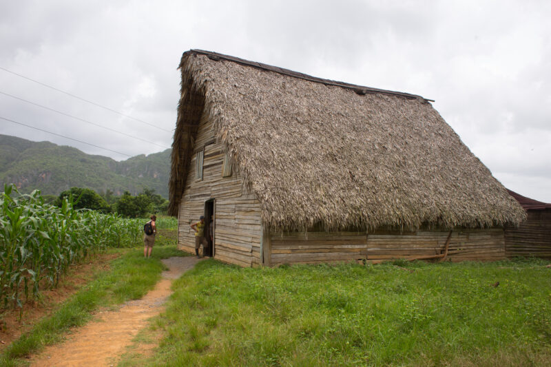 Old Barn in Cuba — Cuba, barn, farm, rural, tobacco