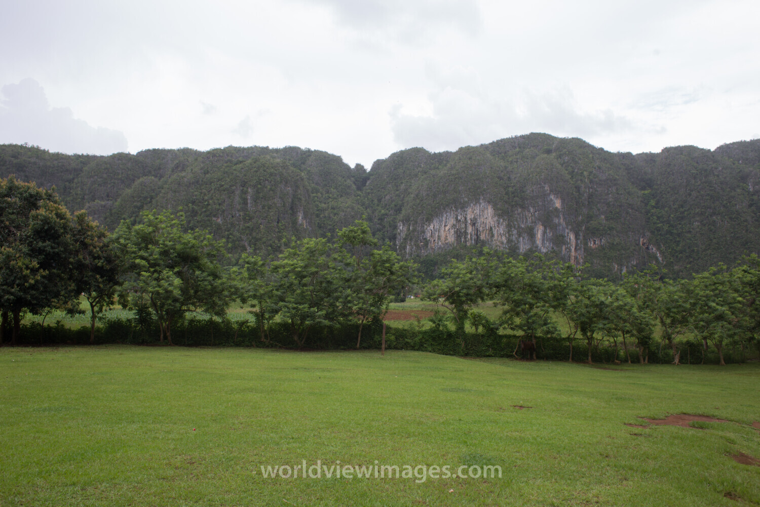 Scenic Beauty of Cuba