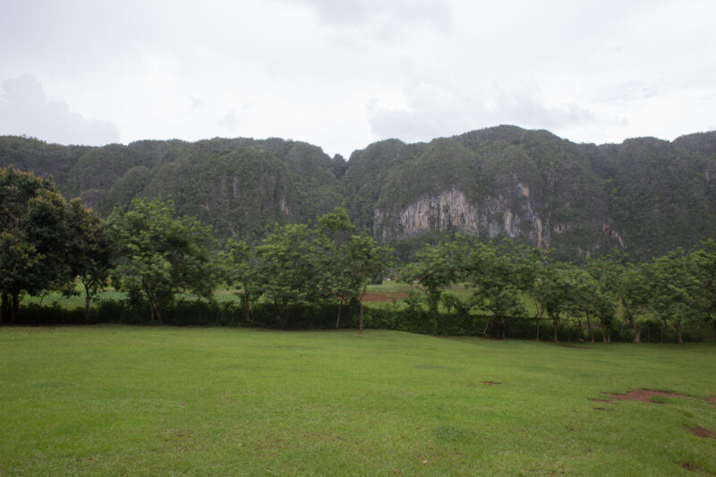 Scenic Beauty of Cuba — Beautiful landscape in Cuba — Cuba, scenic, field, fields