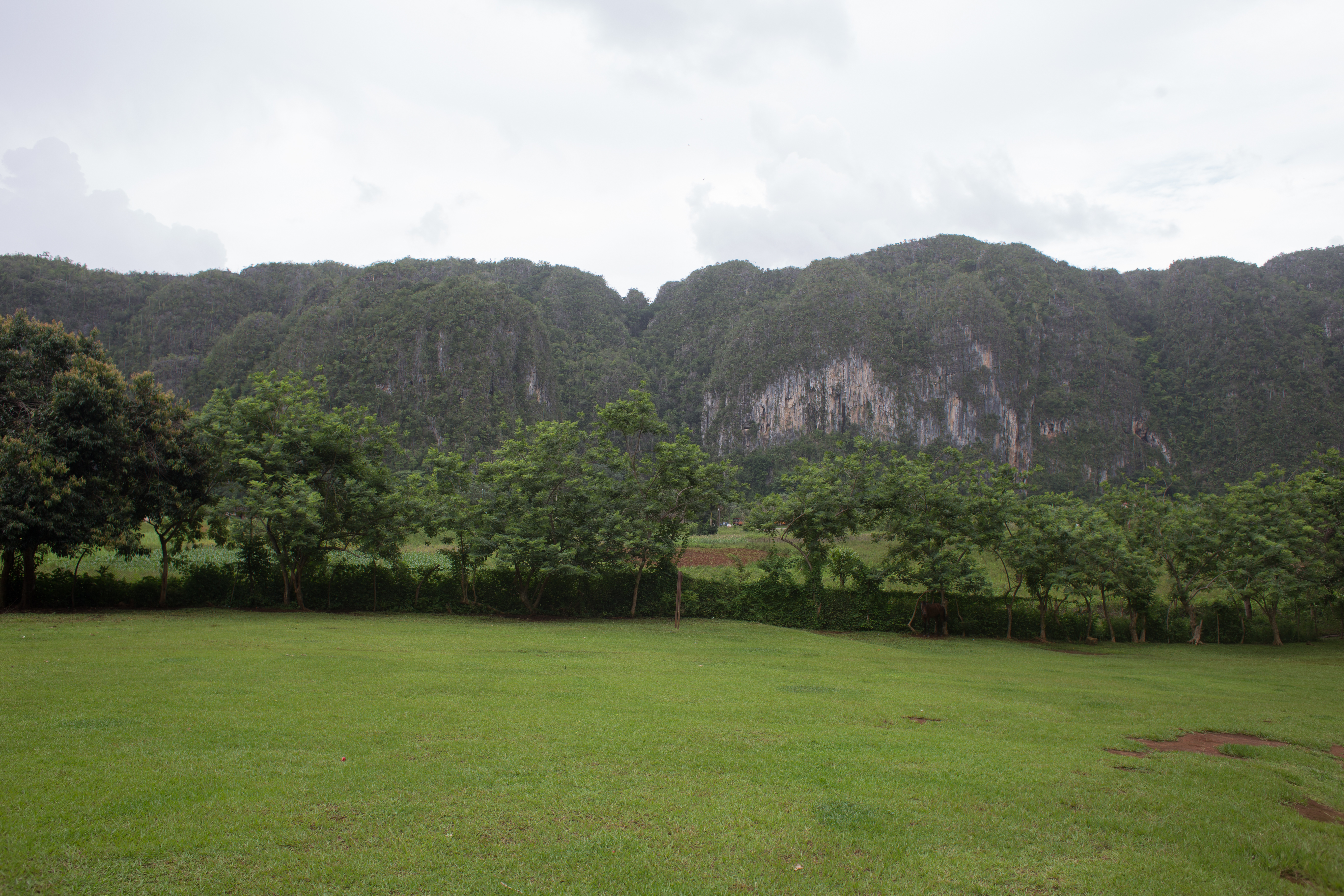 Scenic Beauty of Cuba