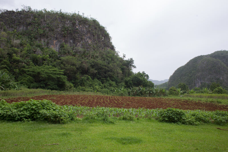 Scenic Beauty of Cuba — Beautiful landscape in Cuba — Cuba, scenic, field, fields
