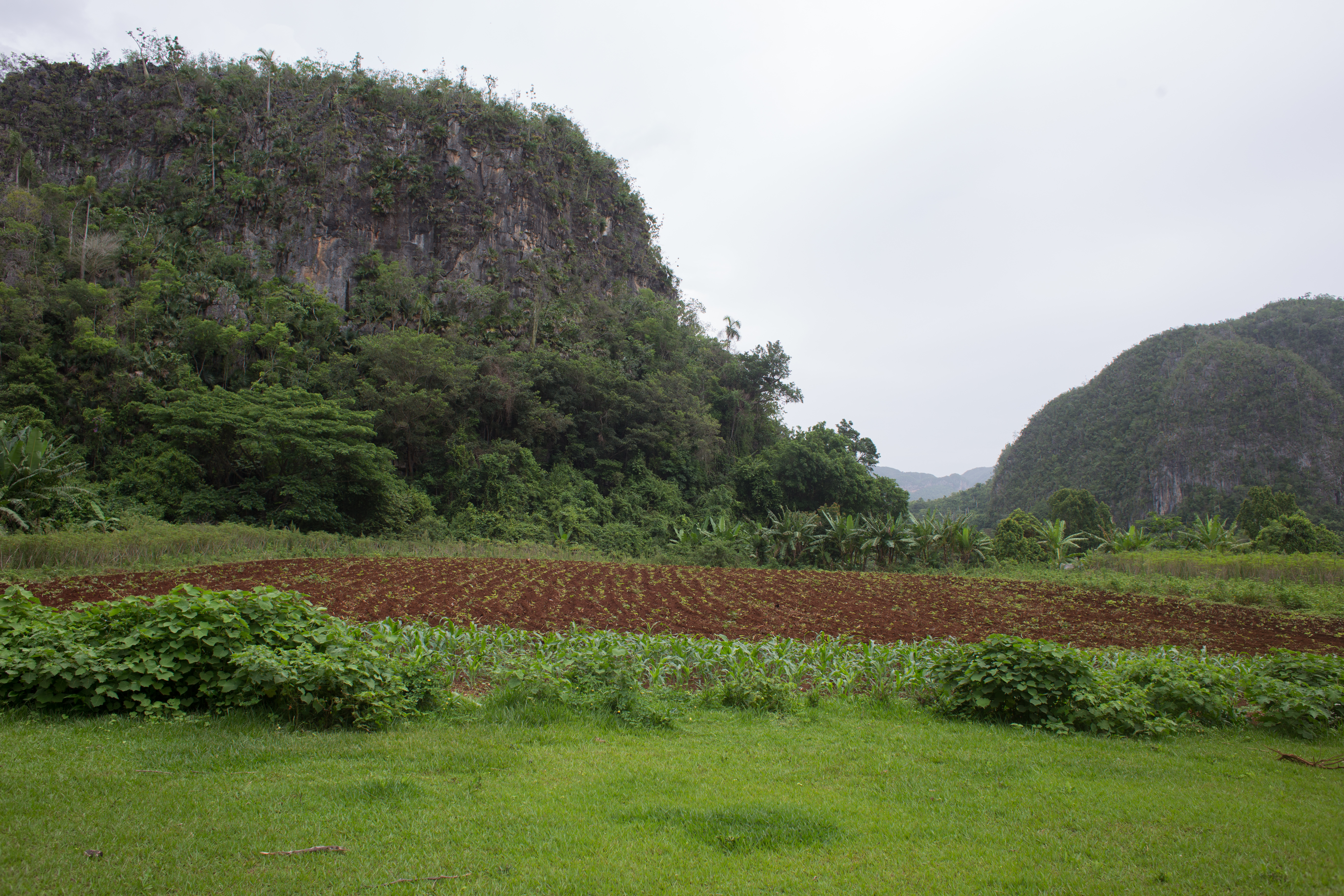 Scenic Beauty of Cuba