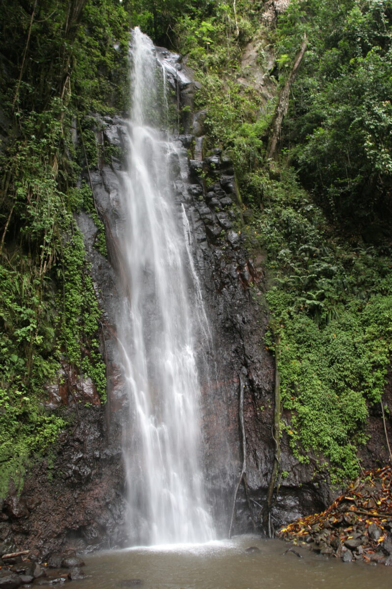 Photo: wvi_008105 — Sao Tome, Africa