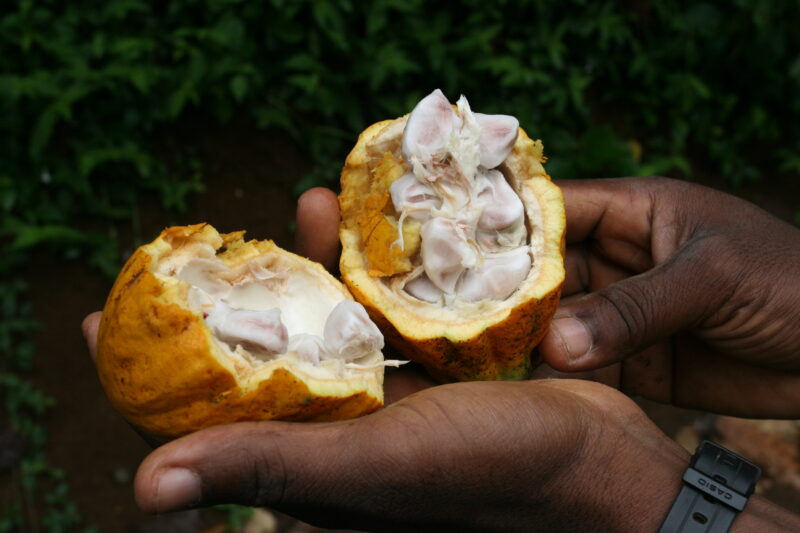 Photo: wvi_008265 — Sao Tome, Africa