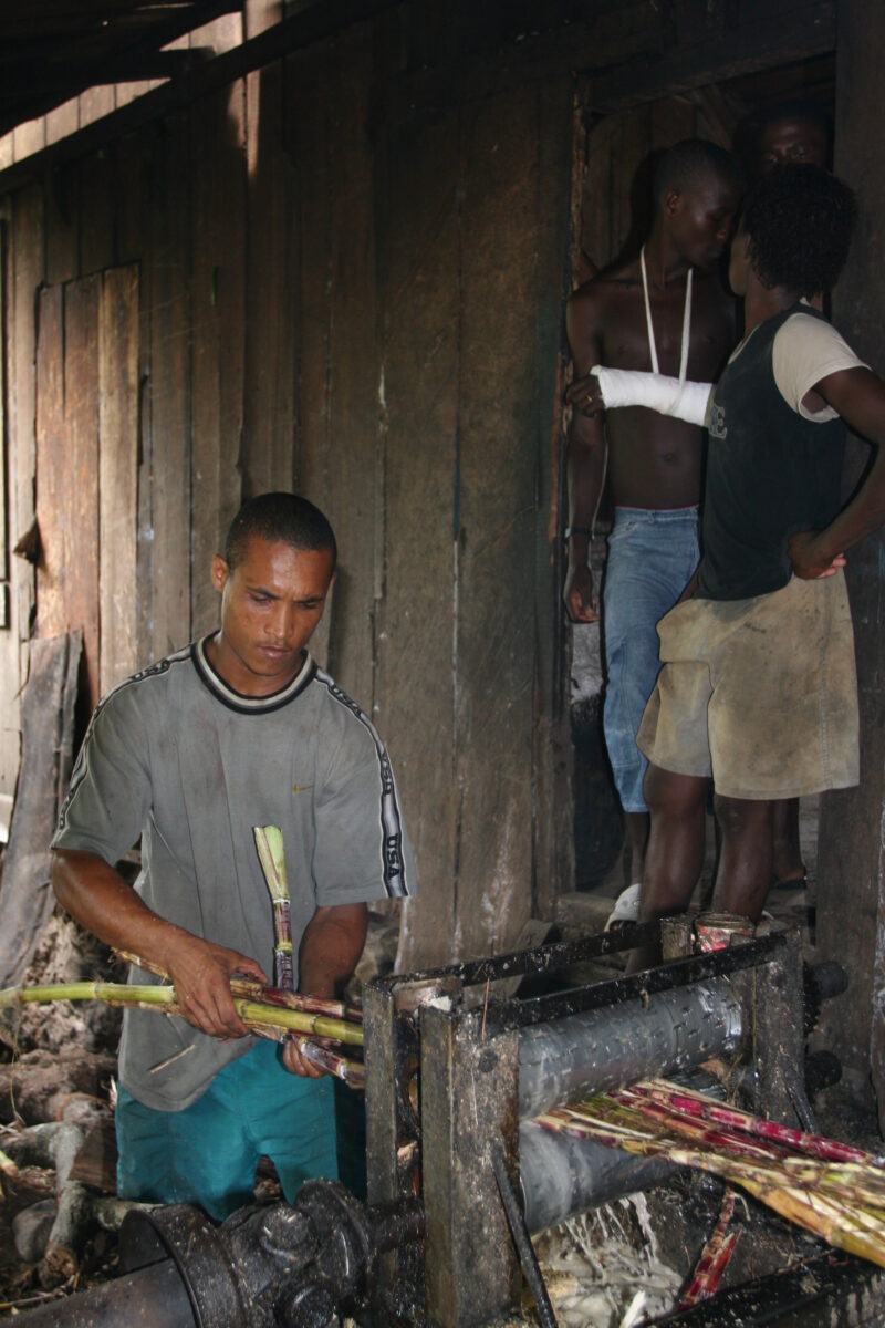 Squeezing Sugercane — Villagers squeeze sugar cane stocks of their juice as a first step to making rum. — Sao Tome, Africa, sugar cane, press, rum