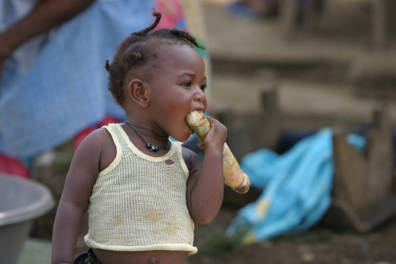 Baby Eats Sugar Cane — Child sucks on a stock of sugarcane in Sao Tome — Sao Tome, Africa, child, baby, sugarcane