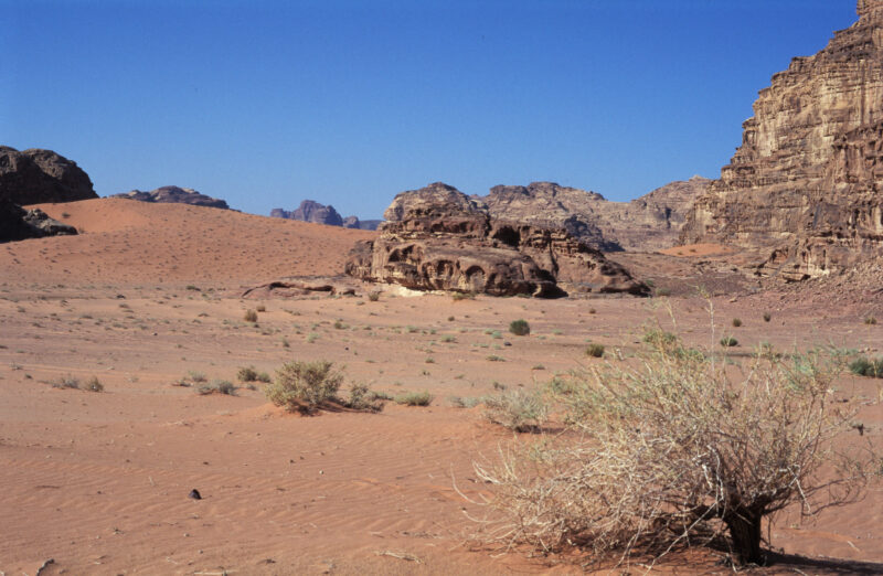 Wadi Rum — Jordan, Wadi Rum, desert, dry
