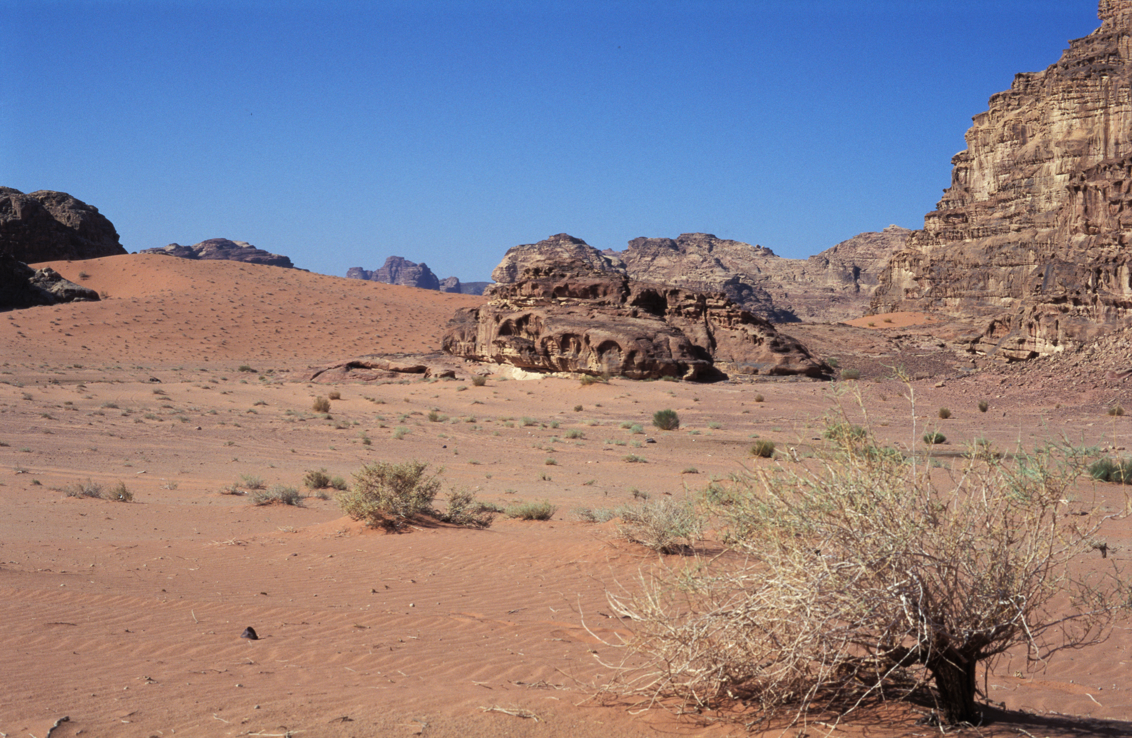 Wadi Rum