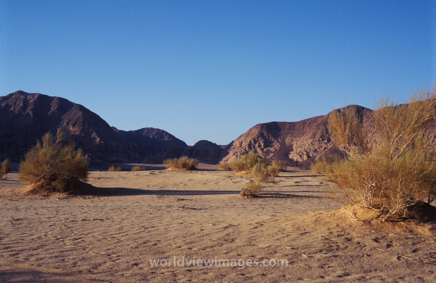 Wadi Rum