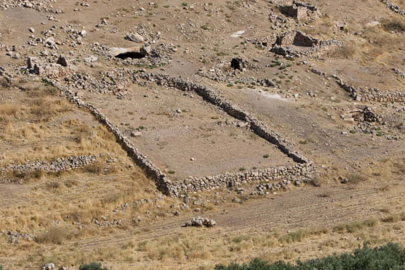 Sheepfold in Jordan — Sheepfold made of rocks — Jordan, sheep, fields