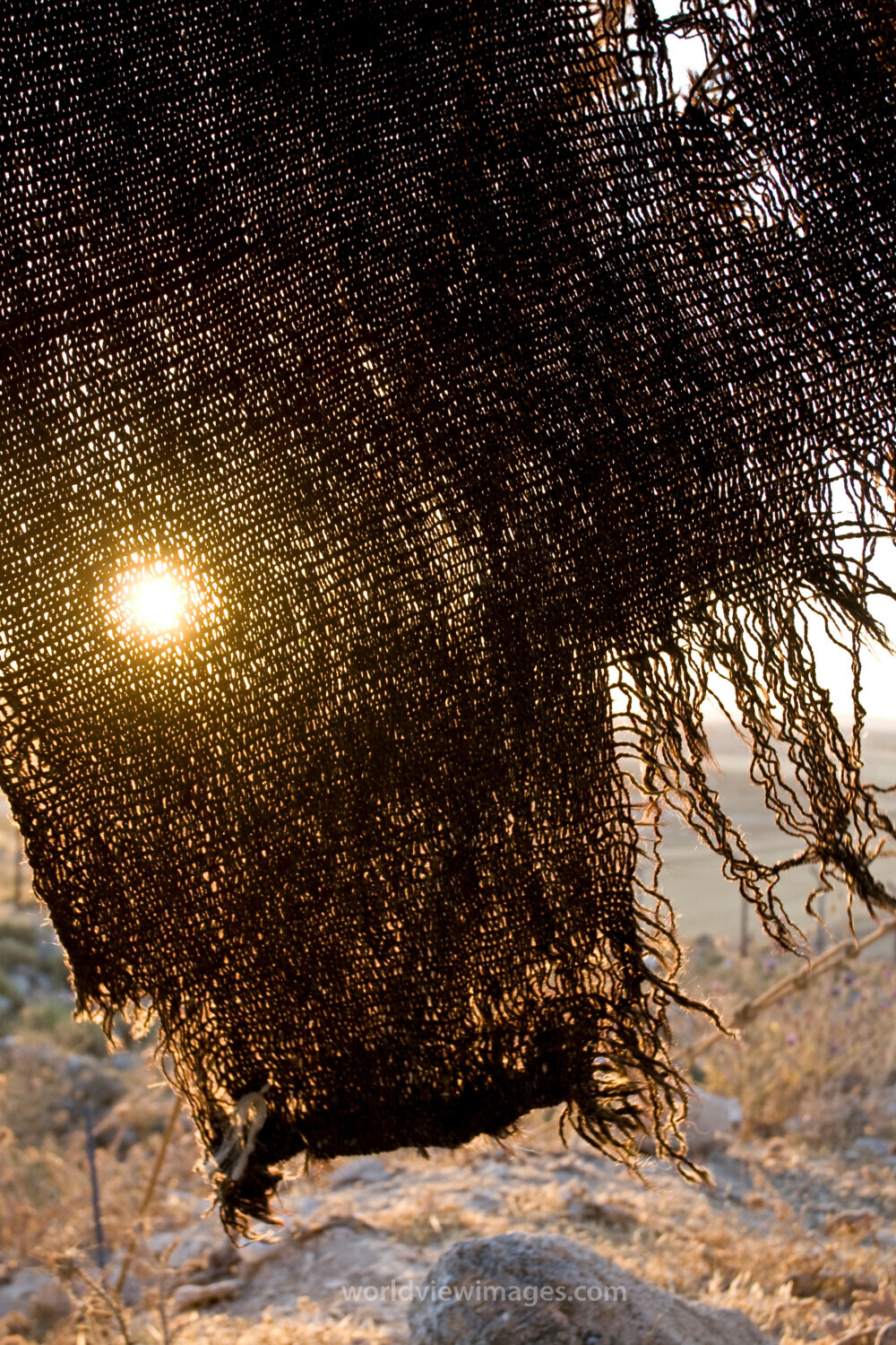 Sunrise Through Goat Hair