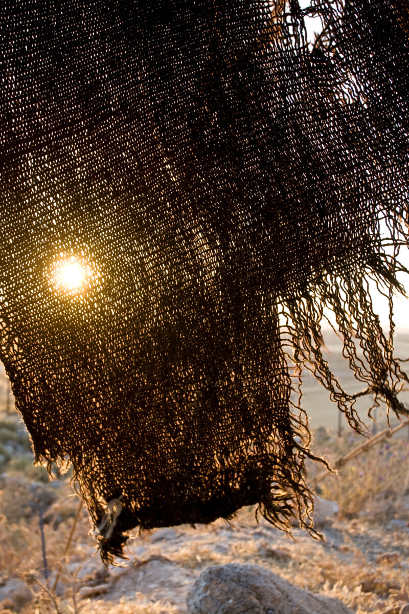 Sunrise Through Goat Hair — Morning sun perices throgh torn tent sheet made from goat hair. — Archaeology, Jordan, sun, goat hair.