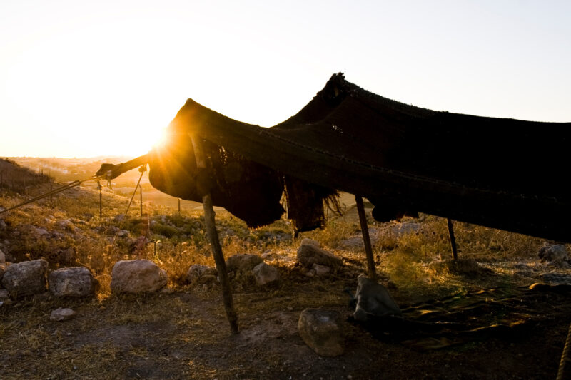 Sunrise in Jordan — Sun Rises by the Break Tent at an archaeological dig site in Jordan, Tall Hesban — Archaeology, Hisban, Jordan