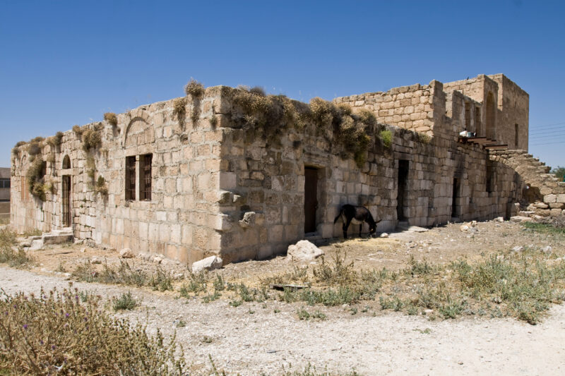 Donkey by Old Abandoned Building in Jordan — Archaeology, Jordan