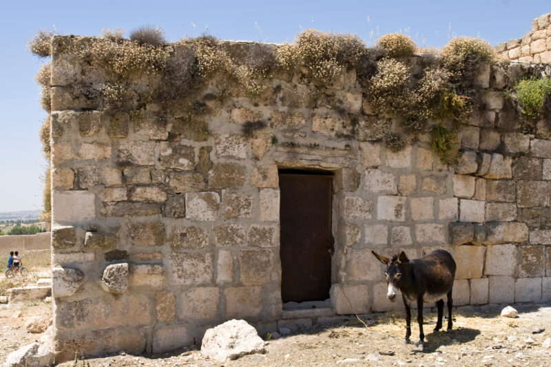 Abandoned Ruins of house in Jordan — Archaeology, Jordan