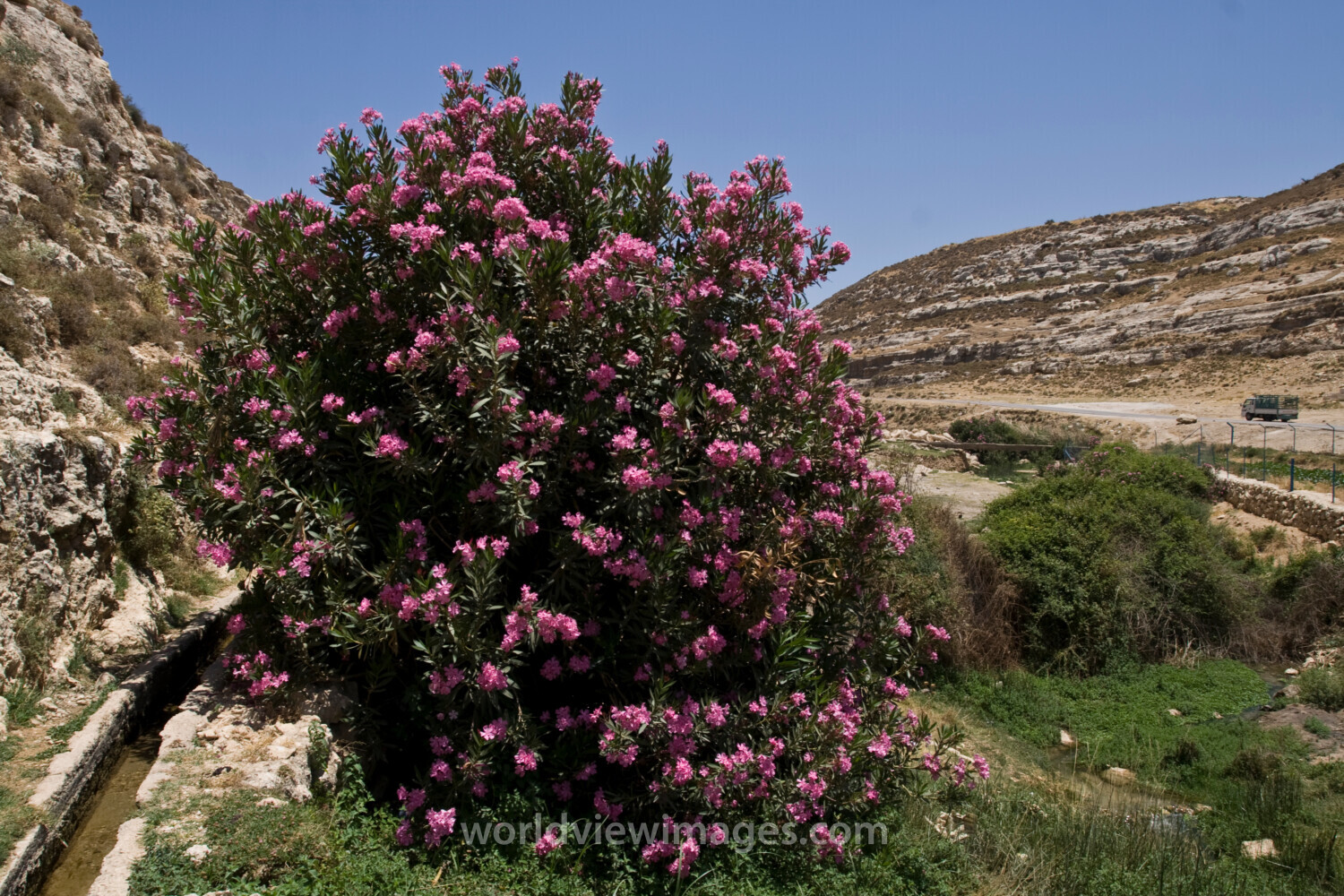 Irrigation in Jordan