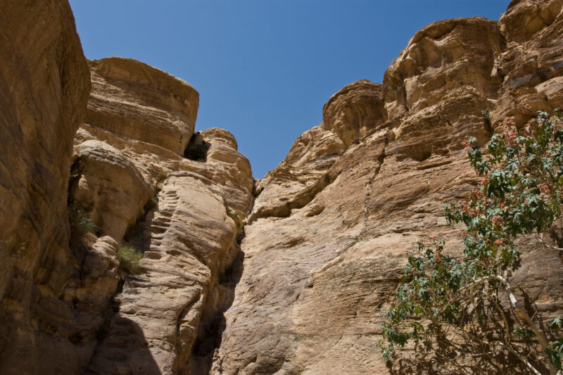 Petra in Jordan — Archaeology, Jordan, Petra