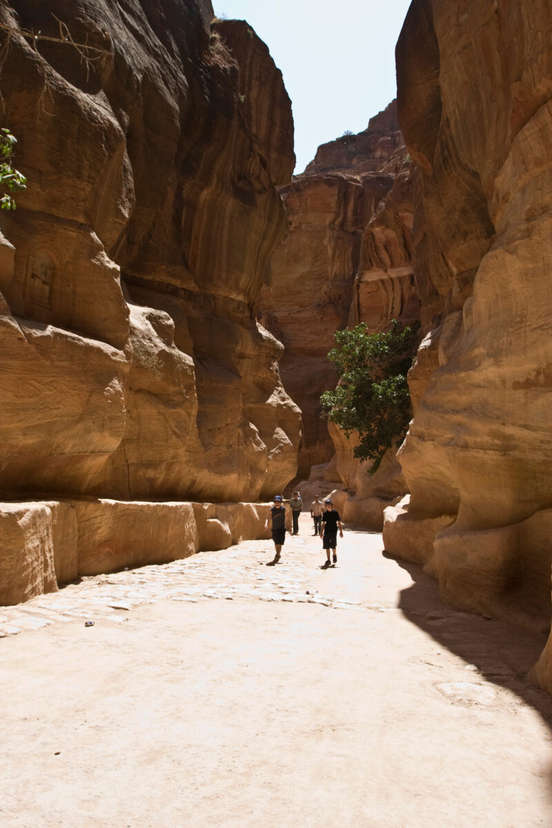 Petra in Jordan — The Siq,leading in to the beautiful ancient rose colored site of Petra, in Jordan — Jordan, Petra, siq