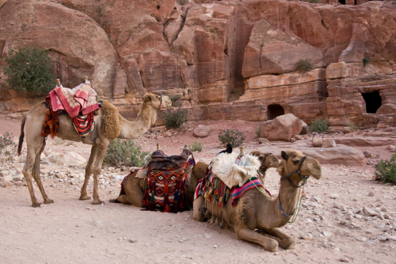 Petra in Jordan — Archaeology, Jordan, Petra
