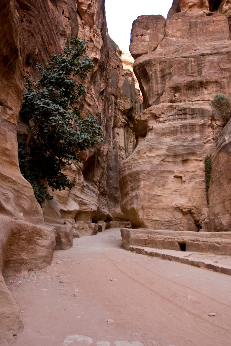 Petra in Jordan — Archaeology, Jordan, Petra