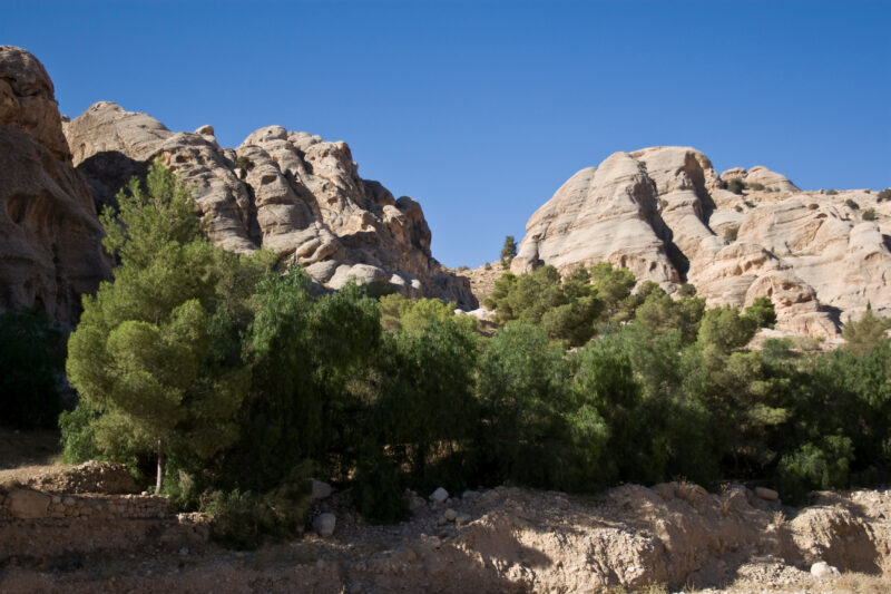 Petra in Jordan — Archaeology, Jordan, Petra