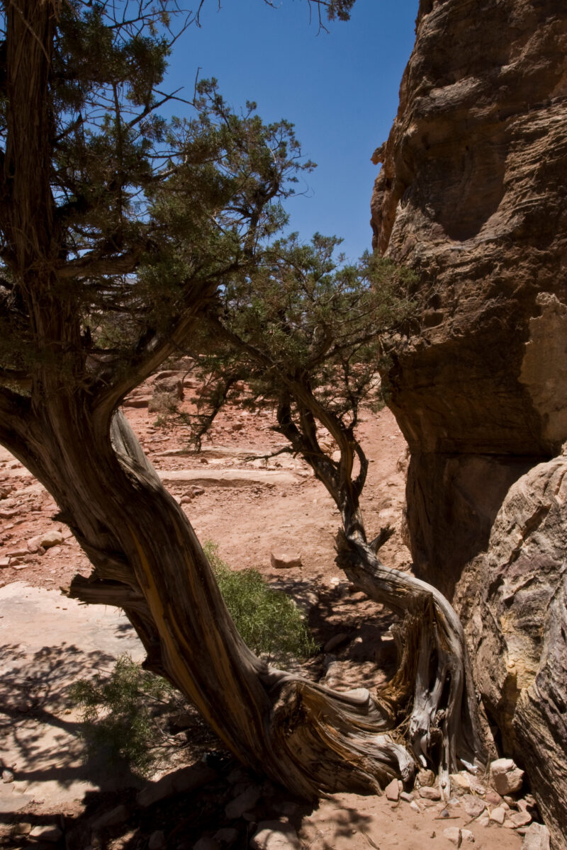 Petra in Jordan — Archaeology, Jordan, Petra