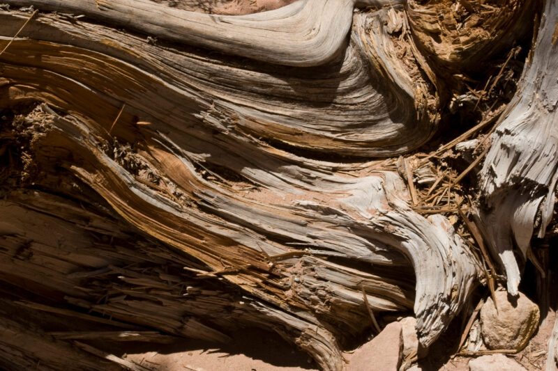 Petra in Jordan — Archaeology, Jordan, Petra