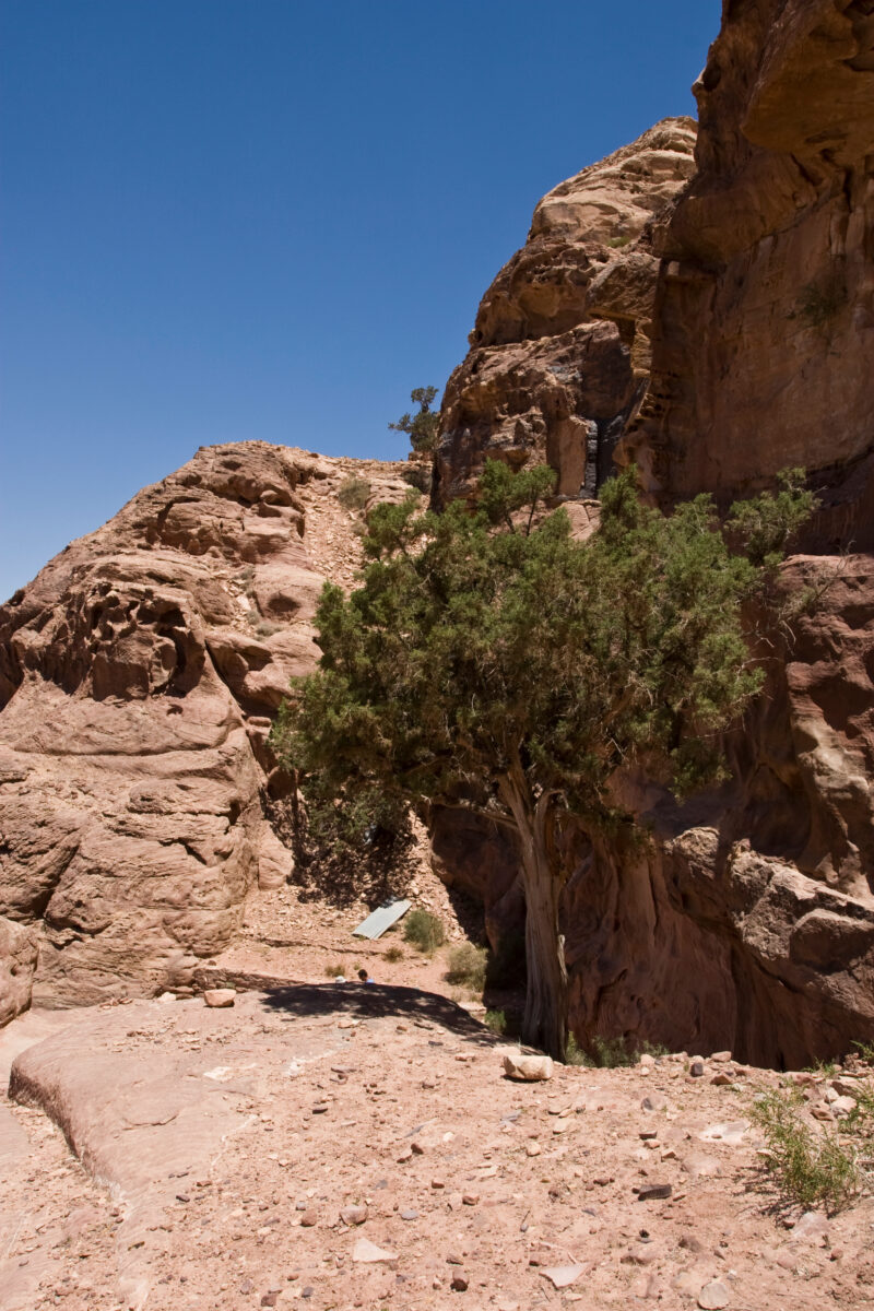 Petra in Jordan — Archaeology, Jordan, Petra
