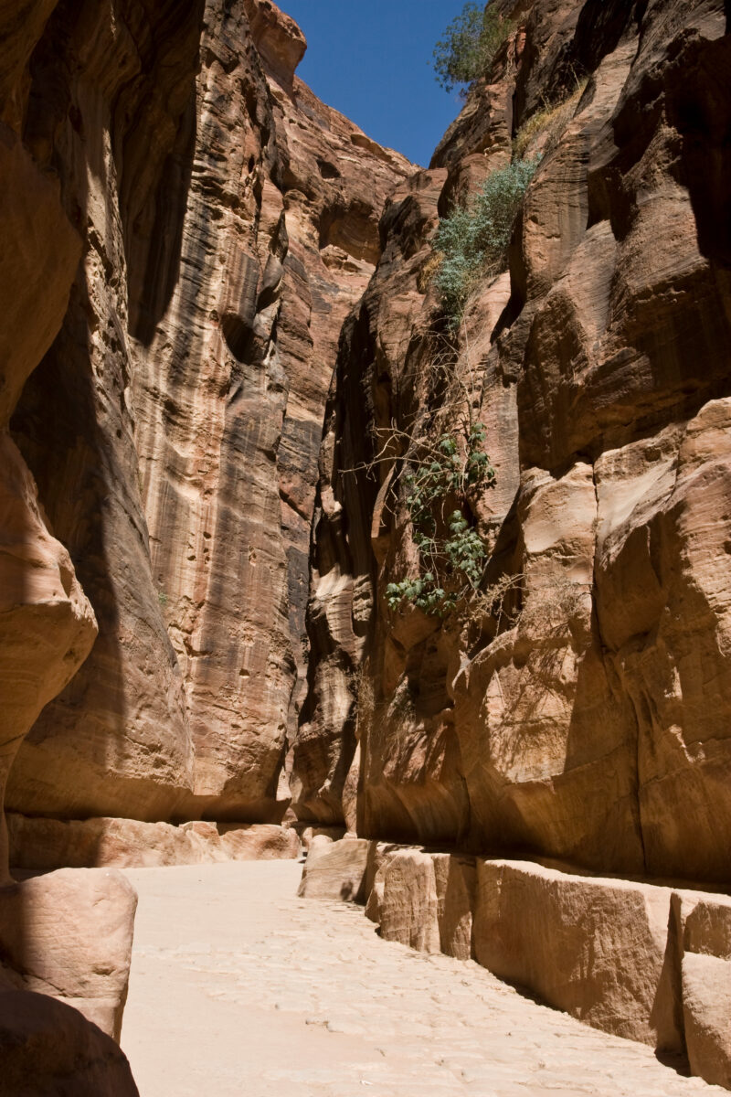 Petra in Jordan — Archaeology, Jordan, Petra