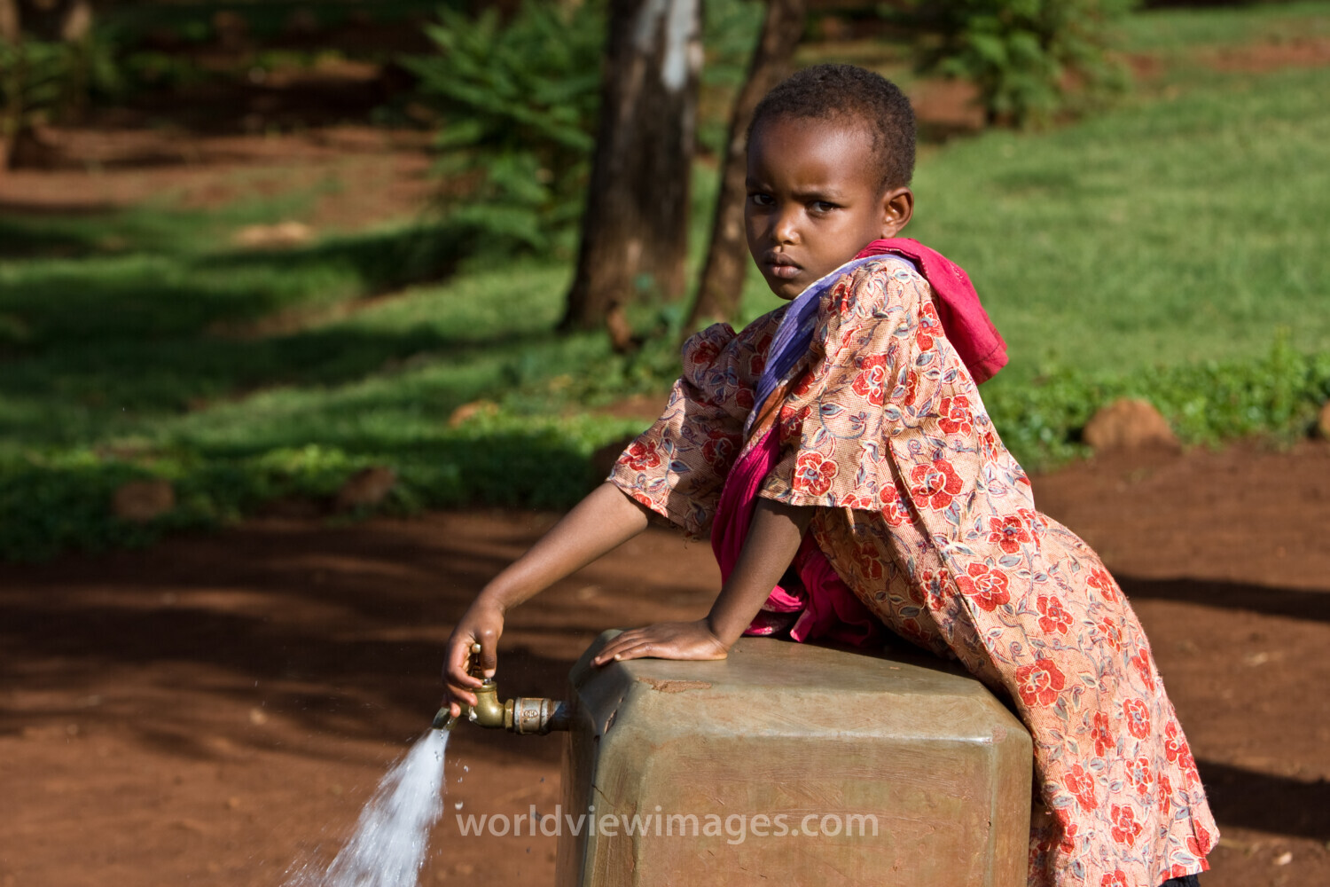 Gravity Fed Water System