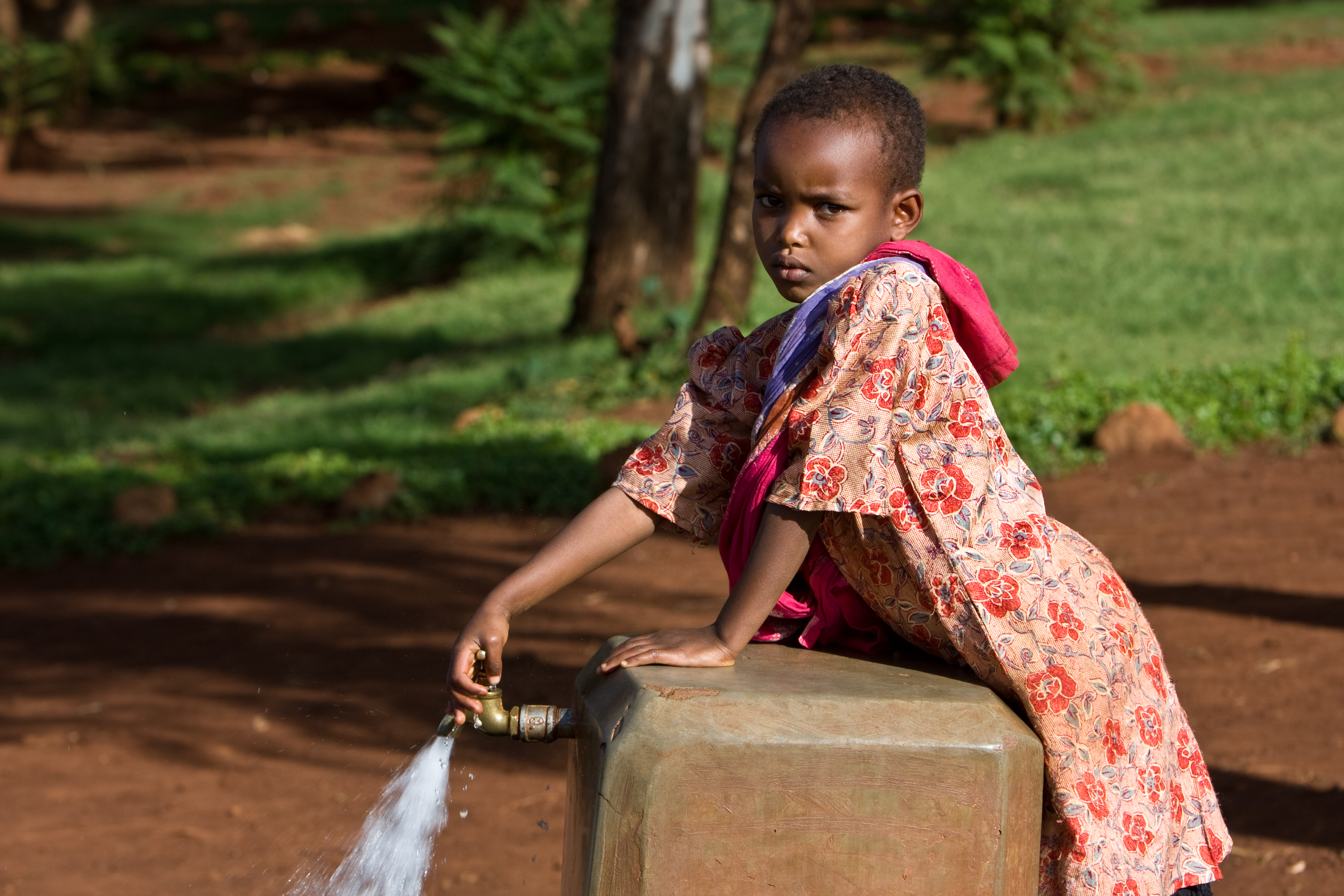 Gravity Fed Water System