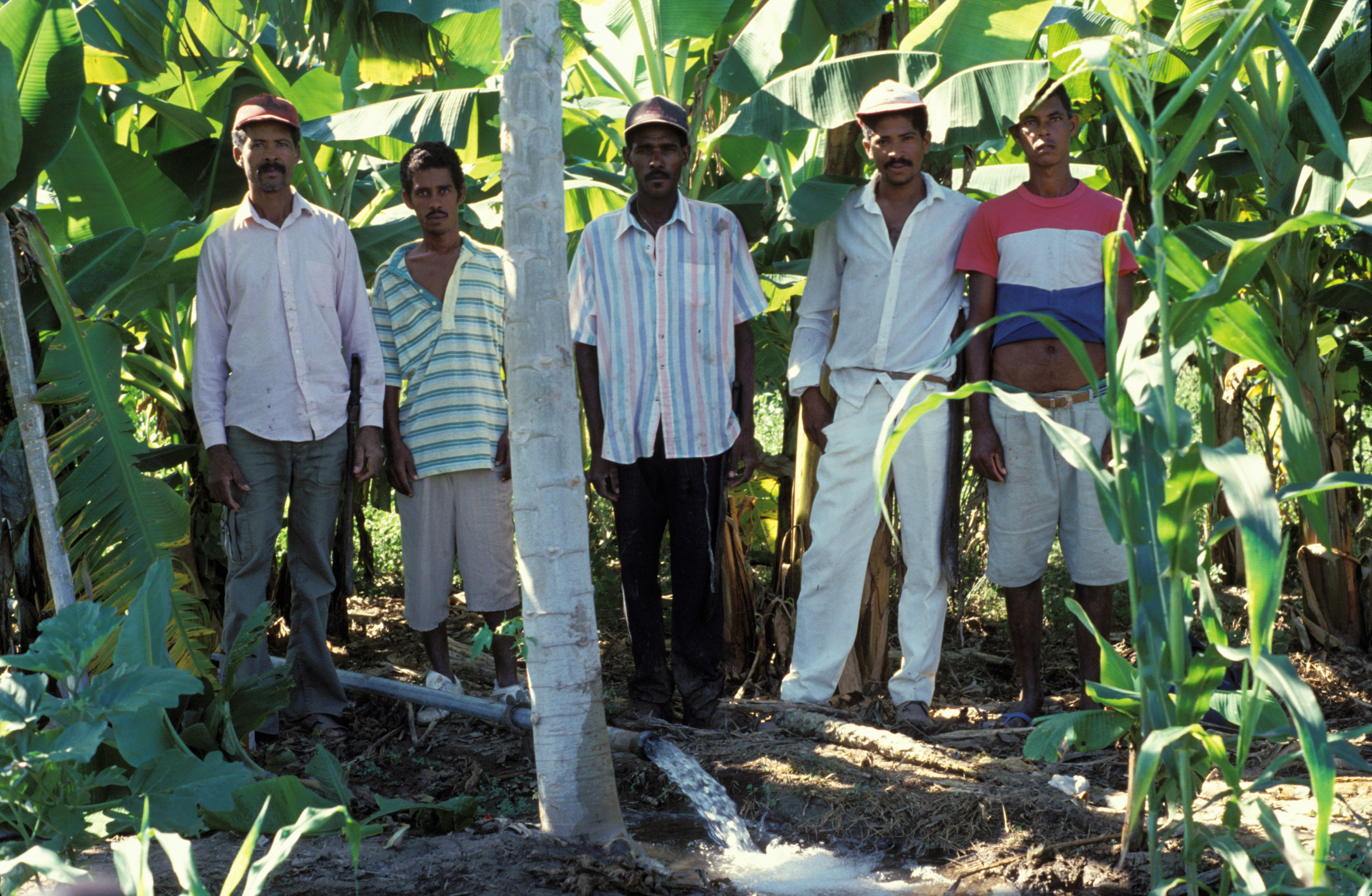 Water for Irrigation in the Dominican Republic